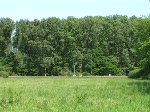 sonstige 11. Mai 2008: Ein G�terzug zwischen Rastatt und Baden-Baden in Richtung S�den. (0:35 Minuten)