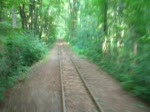 sonstige mit knapp 50-60 km/h brettert der Lokf�hrer vom Deutschen Eisenbahnverein Bruchhausen-Vilsen mit dem TW45 durch das Vilser Holz in den gleichnahmigen Haltepunkt ein. leider war es nicht m�glich bei dieser geschwindigkeit die kamera festzuhalten und deswegen entschuldige ich das wackeln