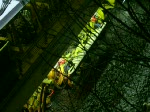 Ein Stopfexpress bei Stopfarbeiten ...  Lars Backhaus 07.09.2008