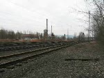 TX Logistik AG 3 Mal private GZ Leistungen durch Eschwege West. 1. 185 513-9 'Rostock Port', 2. 185 546-9 der LTH (powered by OHE), 3. (ES) 64 U2 - 011 der TXLogistik. Alles Fahrtrichtung Norden am 25.02.2009 w�hrend einer Stunde an der Strecke.