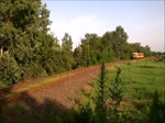 Triebzug 117-393 der MAV-START quert einen Bahnbergang bei Ujkenez, Ungarn, am 24.6.16