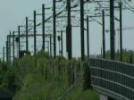 5 mal SJ/DSB �resundst�g ...  Rasmus Villefrance 16.05.2009