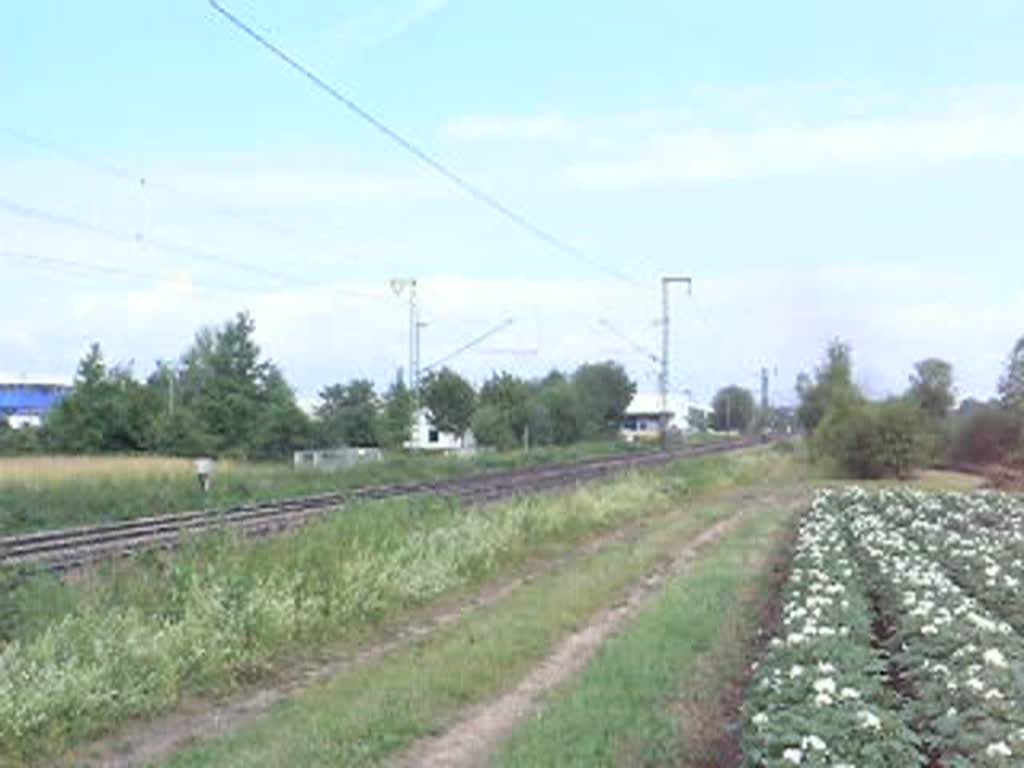 01 1066 und 01 533 ziehen bei Obertraubling ein Sonderzug nach Alttting.