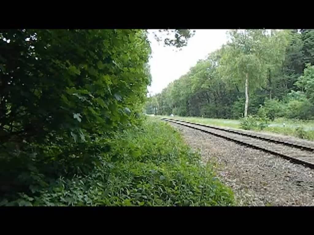 100 Jahre Delmenhorst - Harpstedter - Eisenbahn 

Zu Besuch war die BR 78 468