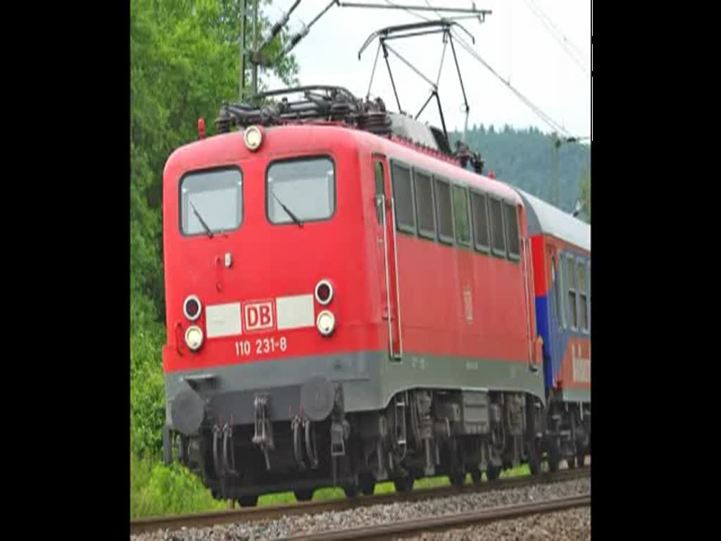 110 231-8 bespannte am 20.06.2010 einen Sonderzug in Richtung Sden. Hier kurz vor Eschwege West.