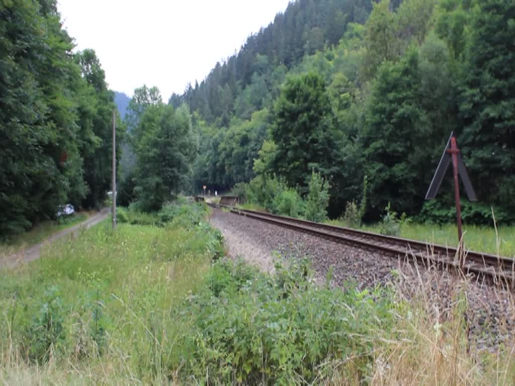 229 147-4 (CLR) fuhr am 21.07.18 den Sormitztal Thüringer Meer Express von Erfurt nach Wurzbach. Von dort fuhren dann Busse nach Blankenstein, da auf der Stecke gebaut wird. Hier ist der Zug bei Hockeroda zu sehen.