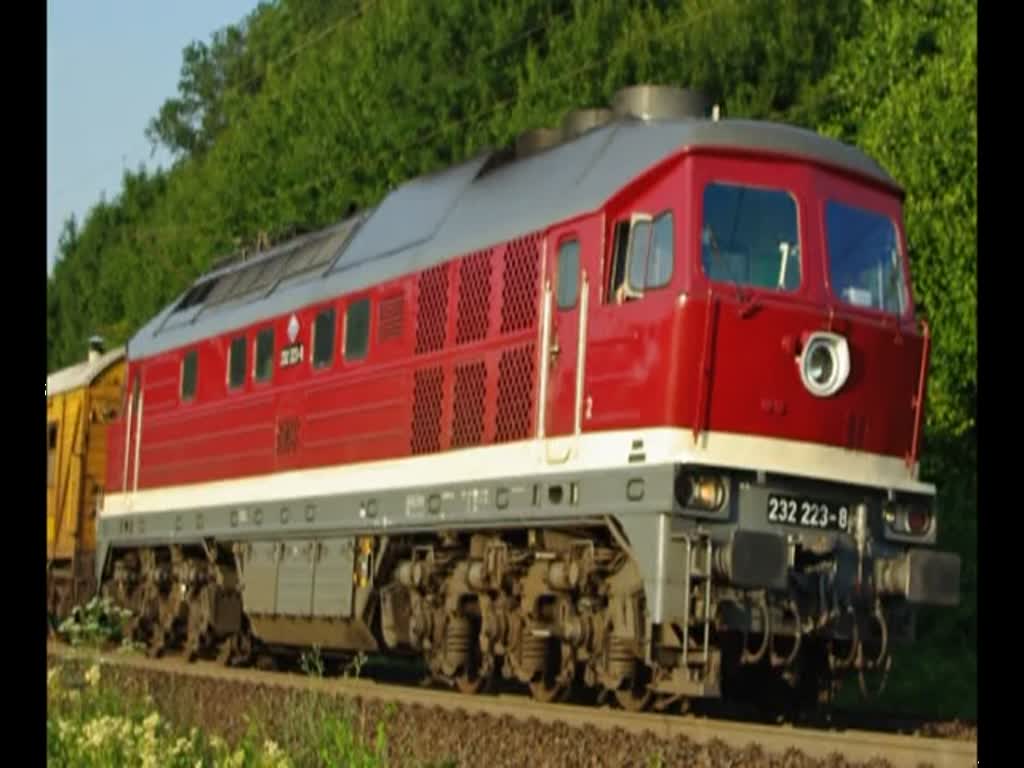 232 223-8 mit kurzem Bauzug in Fahrtrichtung Sden. Aufgenommen am 09.07.2010 zwischen Friedland(HAN) und Eichenberg.