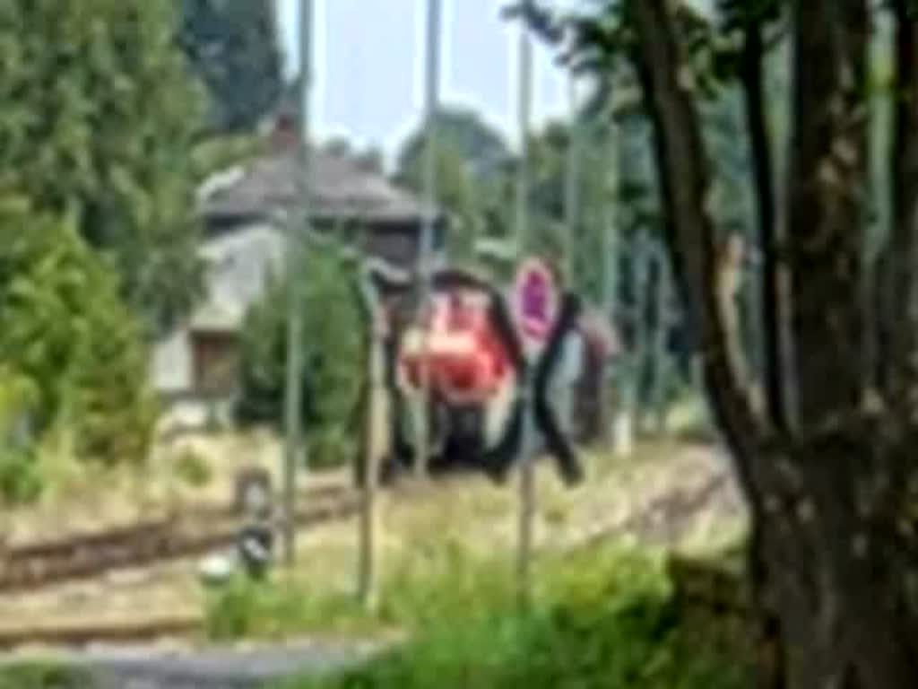 294 745 fhrt mit einem Gterzug aus dem Bahnhof Hirschau aus und berquert dabei den Lindenweg und die Claus-Conrad-Strae. (Strecke Amberg-Schnaittenbach) (27.08.2007)