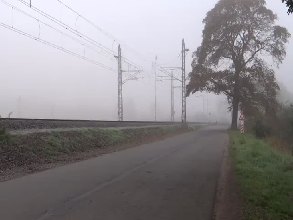 Am 24.09.16 war in Cheb Tag der Eisenbahn. Es fuhren viele Sonderzüge von Cheb nach Aš, Karlovy Vary, Mariánské Lázně, Plesná und Luby u Chebu. 498 104 (11202) bei Tršnice wo das Wetter früh noch sehr schlecht war.