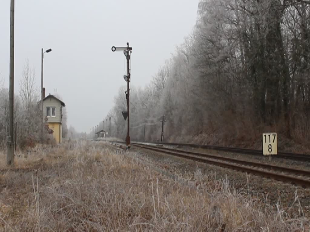 Am 25.01.20 fuhr 231 012 (WFL) einen Holzzug von Triptis nach Saalfeld.
Hier ist der Zug in Oppurg zu sehen.
Am Zugschluss ist 155 110 (WFL).