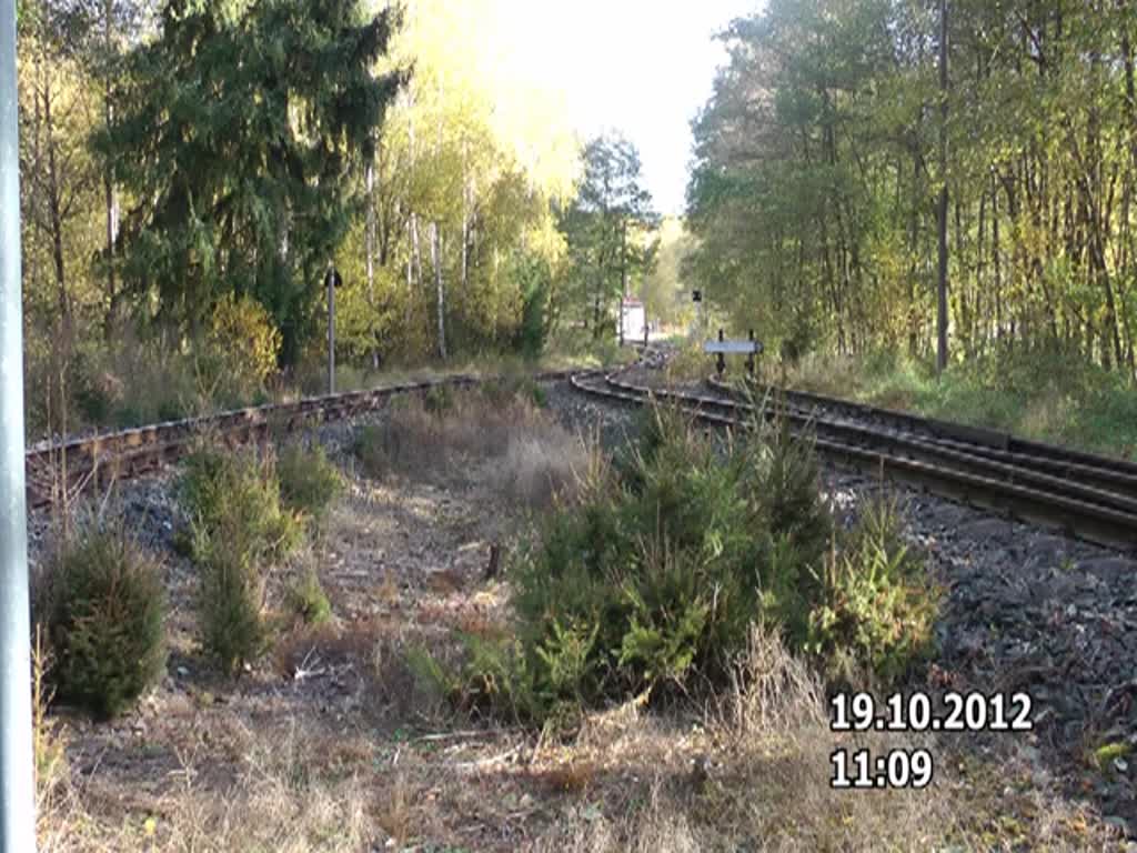 Auf der Herbstwanderung im Selketal begegnet dem Fotografen kurz  hinter Silberhtte 99 5902 mit einem Sonderzug aus Gernrode kommend. 19.10.2012 gegen 11:10 Uhr.  Fahrziel: Brocken.