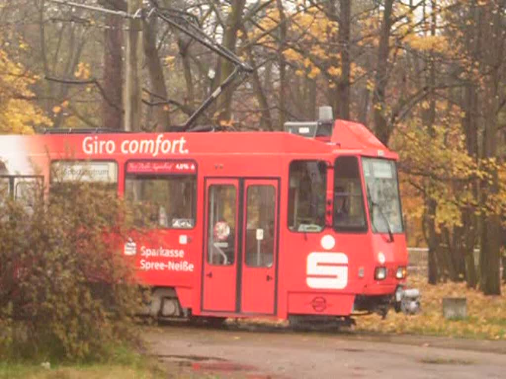 Auffahrt des Tw 136 am 08.11.08 aus der Wendeschleife Sportzentrum 