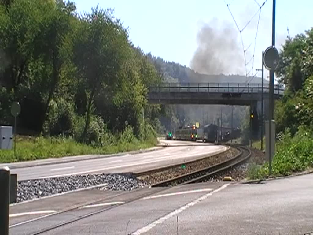 Aufgenommen am 22.8.2010 bei der Station Lampenberg-Ramlinsburg