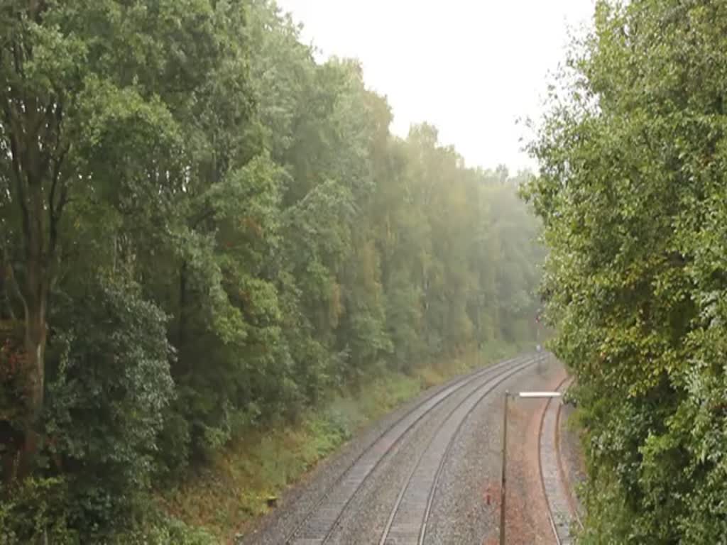 Bergfahrt von 01 202 und 01 118 am 21.09.2014 bei strömenden Regen die Schiefe Ebene hinauf. Am Zugende schiebt 38 1301 der ÖGEG. 