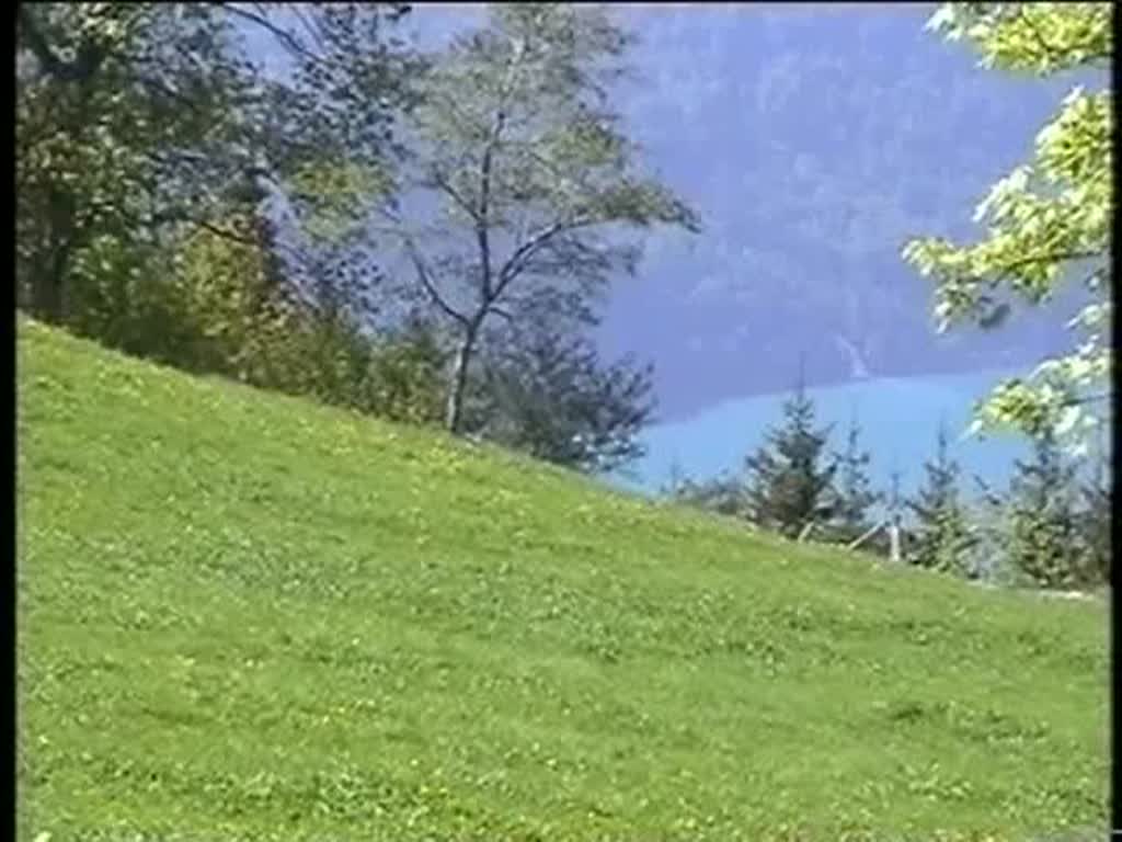 Berner Oberland 2004 (VHS-Archiv) - Am 30.05.2004 knnen wir an der Station Rothorn Planalp die Einfahrt eines Dampfzuges aus Brienz im Bild festhalten.