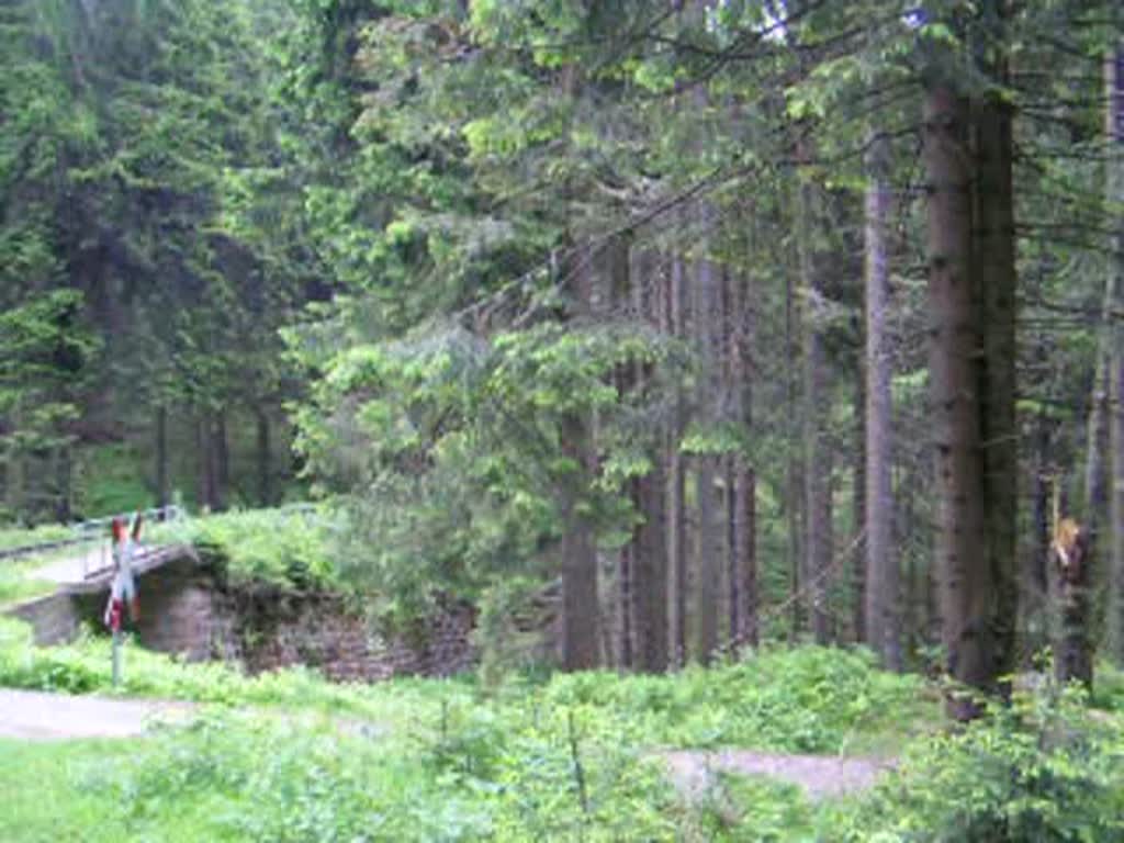 Brockenbahn kurz vorm Brocken. Gespannt sind zwei Loks aus dem Jahre 1898 (99 5901 und 99 5902). Position am Ende des Bahnparallelwegs zwischen Schierke und Brocken. Die genaue Position des Videos ist am Ruheplatz am Ende des Bahnparallelwegs, bevor der WAnderweg nach rechts zur Brockenstrae abweicht, den Names des Baches wei ich leider nicht, ber den der  Zug fhrt. 