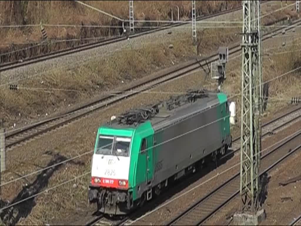 COBRA 2825 (E 186 127) am 2. April 2013 bei einer Fahrt durch Köln.