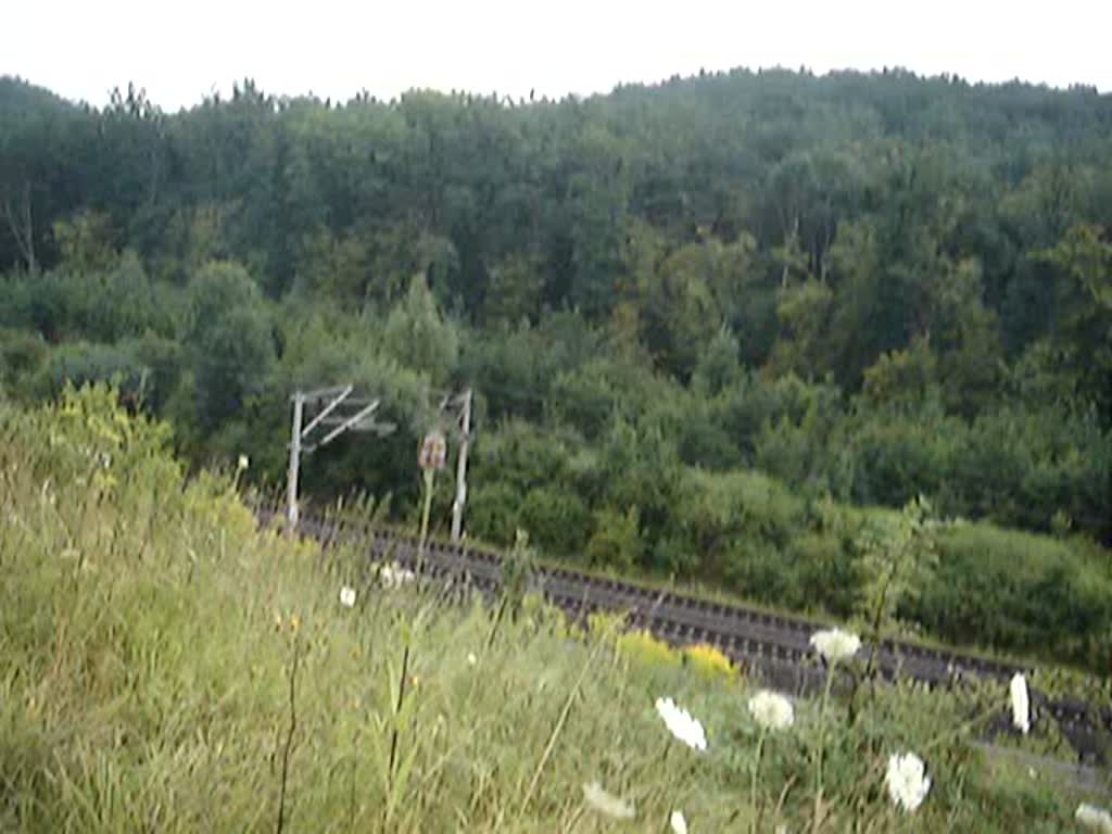 Der Ex-Metropolitan Zug eilt seinem Ziel Stuttgart Hbf entgegen. Aufgenommen am 23.Juli 2007 auf der SFS Stuttgart-Mannheim. Am Ende schob eine Br.101