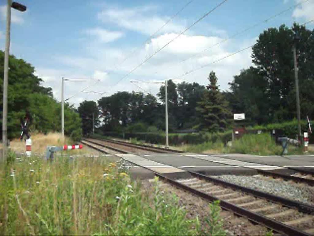 Der ICE 1546 nach Frankufrt(M)Flughafen, hier am 13.7.10 am Bahnbergang in Leipzig-Miltitz.