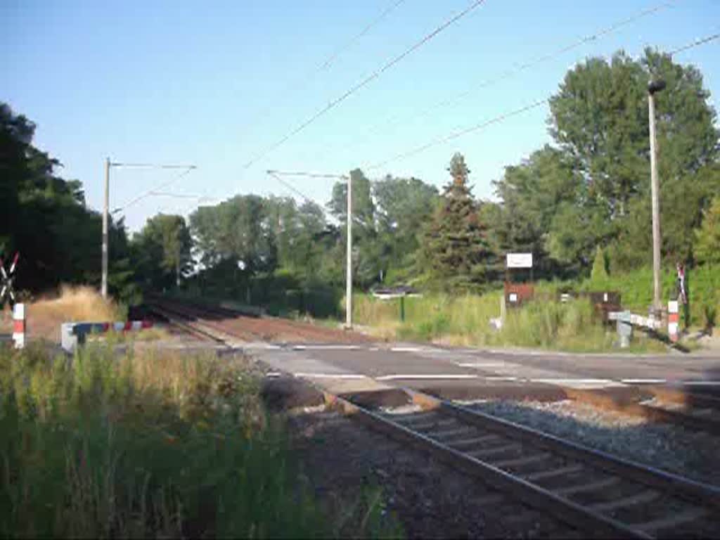 Der ICE 1552 nach Frankfurt(Main) fuhr am 20.7.10 am Bahnbergang von Miltitz vorbei.