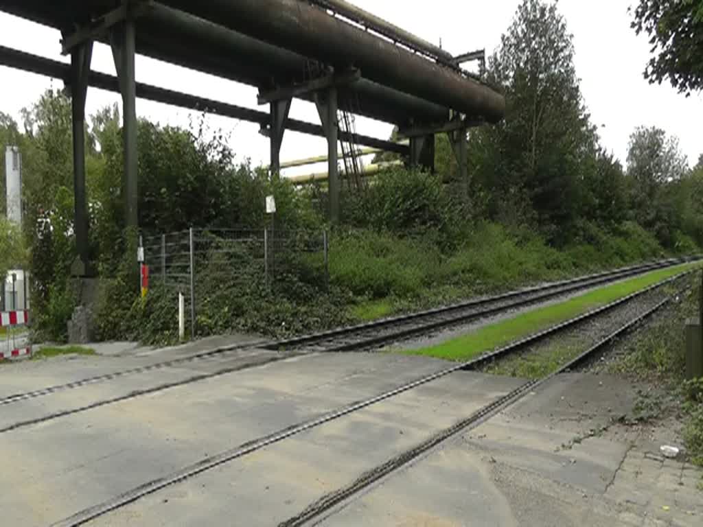 Der bergabeverkehr zwischen dem Bahnhof Bochum-Prsident und dem Stahlwerk von ThyssenKrupp in Hntrop wird von der Dortmunder Eisenbahn abgewickelt. Aber auch Lokomotiven der DB werden eingesetzt. Am Bahnbergang der Goldhammer Strae sind am 16. September 2011 die Lokomotiven 803 (DHG1200BB) und 812 (MaK G1203BB) der DE sowie die 294 792 der DB zu beobachten.