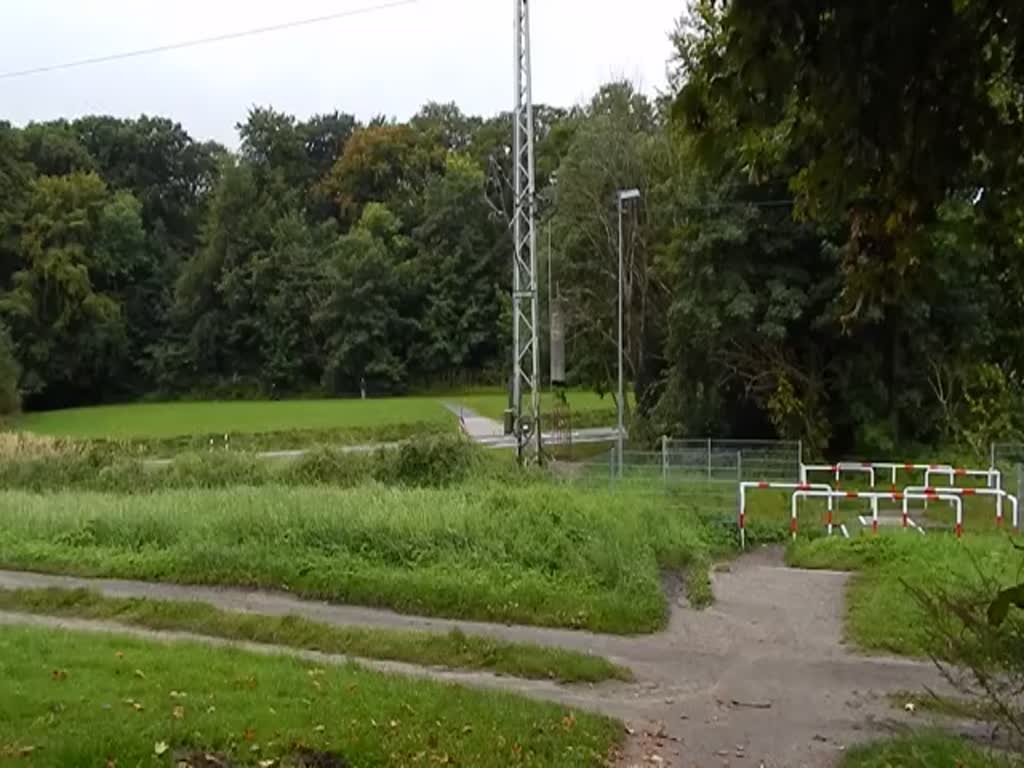 Ein Stadler-Flirt der Baureihe 429 zwischen Lancken und Sassnitz am 23.09.2017