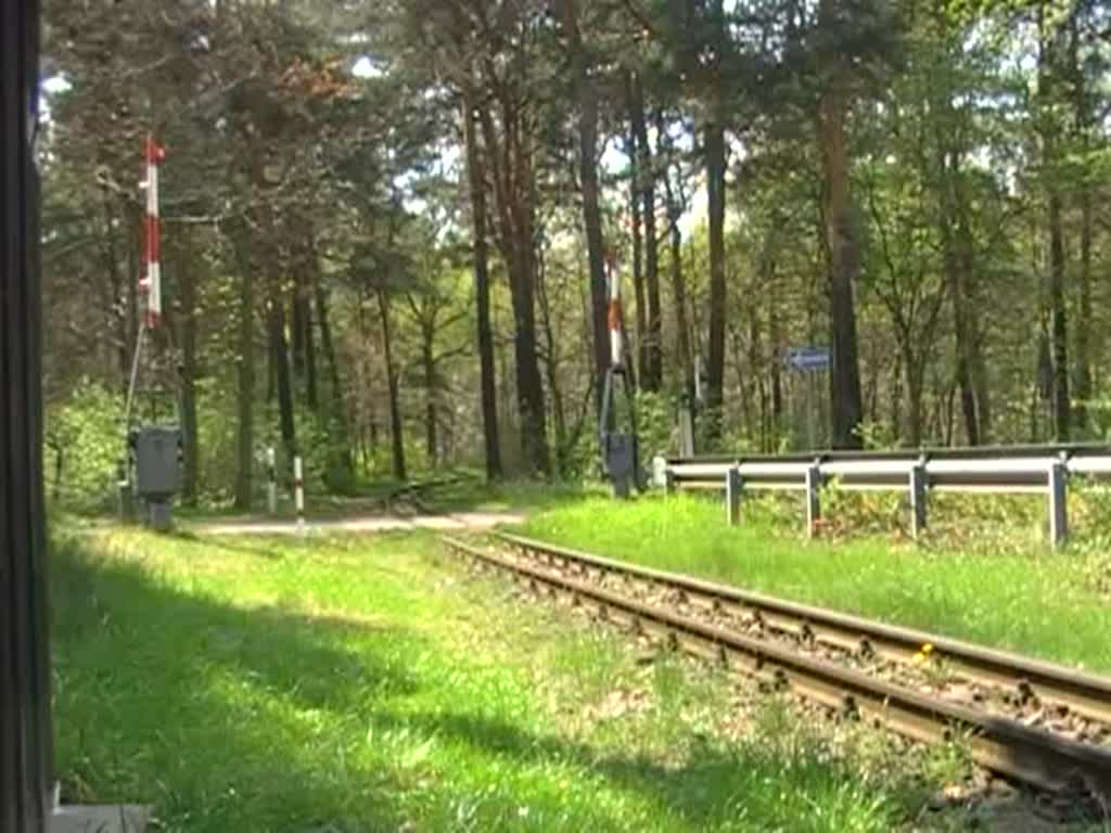 Ein Zug der Berliner Parkeisenbahn mit Diesellok am 27.4.2008 in der Wuhlheide.