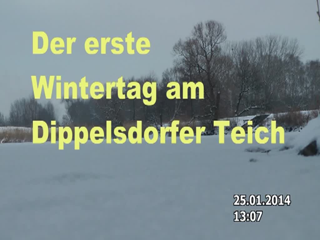 Ein Zug der Lößnitzgrundbahn überquert den Damm Dippelsdorfer Teich. 25.01.2014  13:07 Uhr.