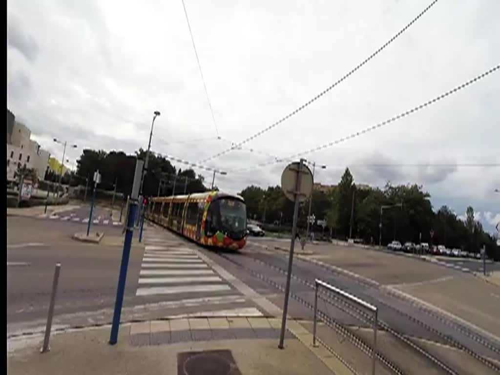 Frankreich, Languedoc, Hérault, Montpellier. 7 Citadis der Tramlinie 2 zwischen den Stationen Sabines und Mas Drevon. Ein Citadis 402 und ein Citadis 302 bei der Station Sabines. Vier Citadis 302 bei der Station Mas Drevon. Ein schwarzer  universal  Citadis 302 (dieser Citadis verkehrt auf allen Linien) bei der Station Mas Drevon. 02.10.2014
