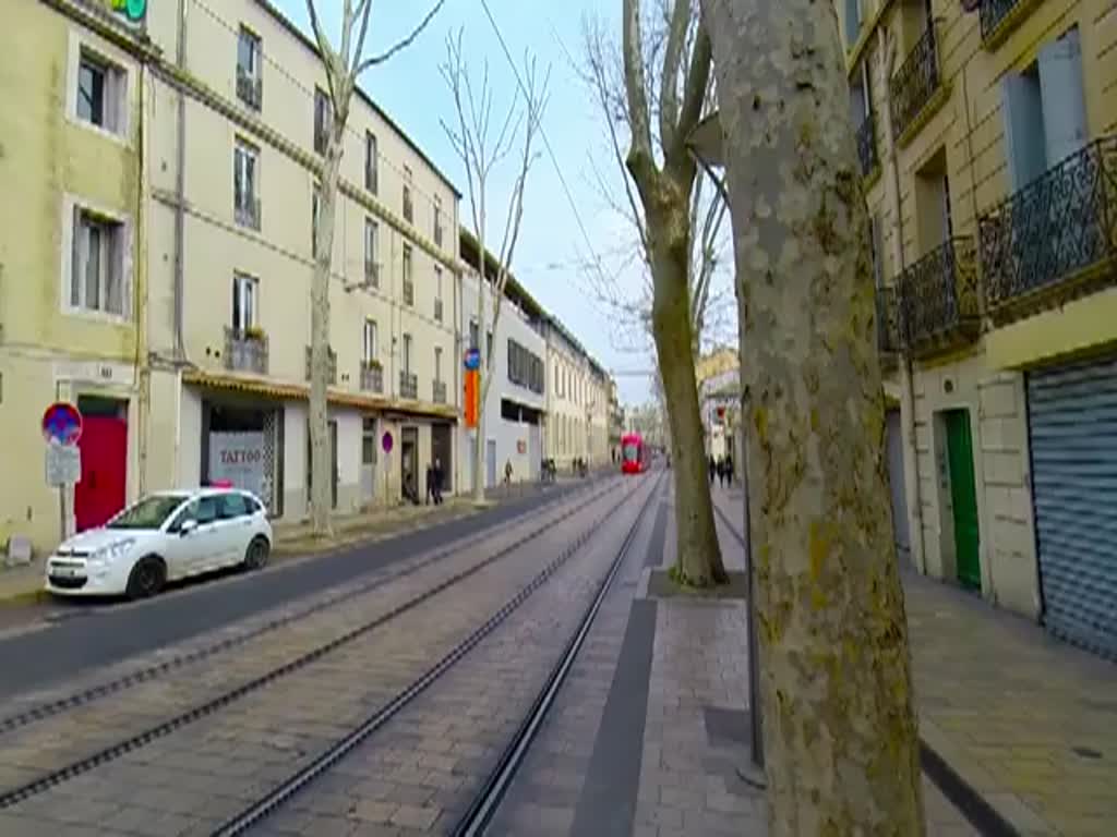 Frankreich, Languedoc, Hérault, Montpellier, ein Citadis 302 der Linie 4  la Ronde  in rot  La Sunny French Tech Attitude  anstatt goldfarben, zwischen Louis Blanc und Albert 1er. 03.2015