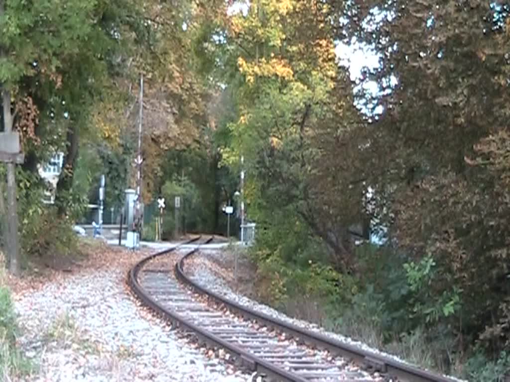 FROWOS 2062 053-0 am 13.10.2012 auf der Kaltenleutgebener Bahn als NF 19077 von Km 2,9 bis 3,3 in Richtung Waldmhle fahrend.

