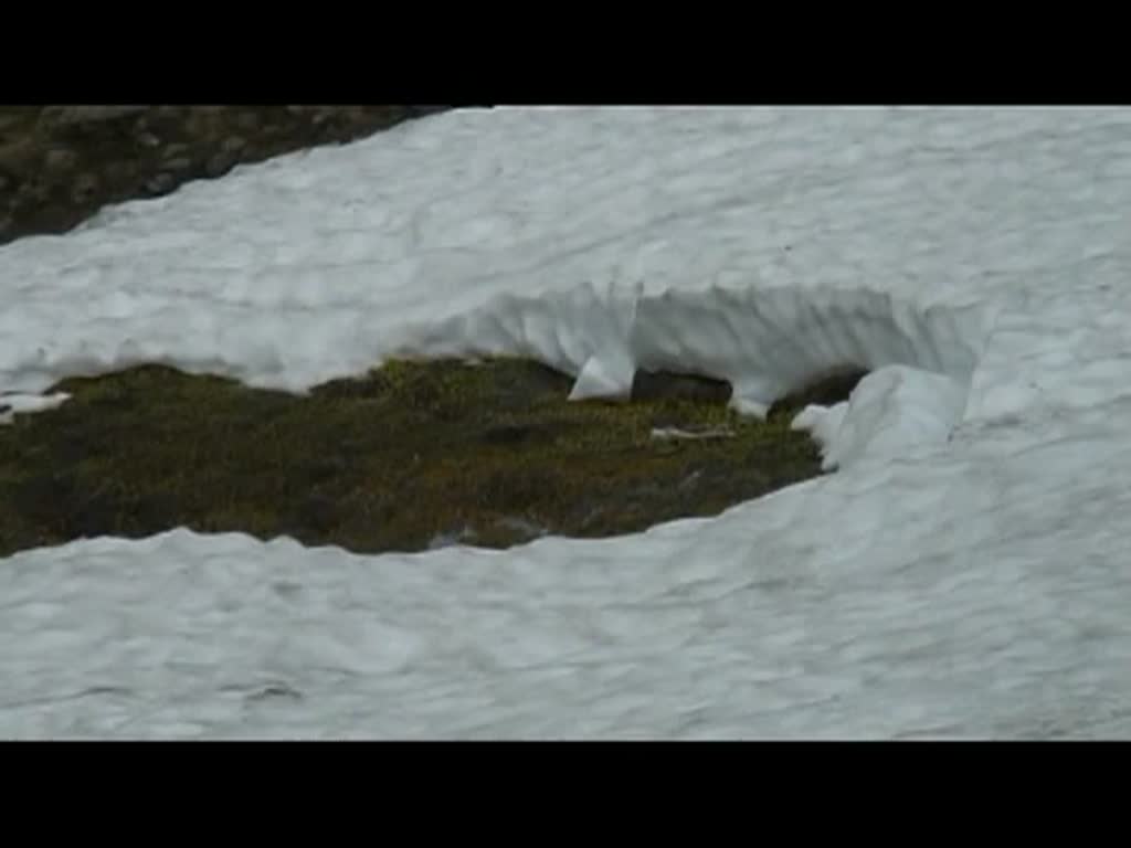 Graubnden 2010 - Schnee im Juni ist am Berninapass nichts ungewhnliches.

Mit dem ersten Berninaexpress des Tages aus Tirano sind die beiden ABeh am Lago Bianco unterwegs und werden in Krze die Wasserscheide adriatisches- / Schwarzes Meer passieren. 