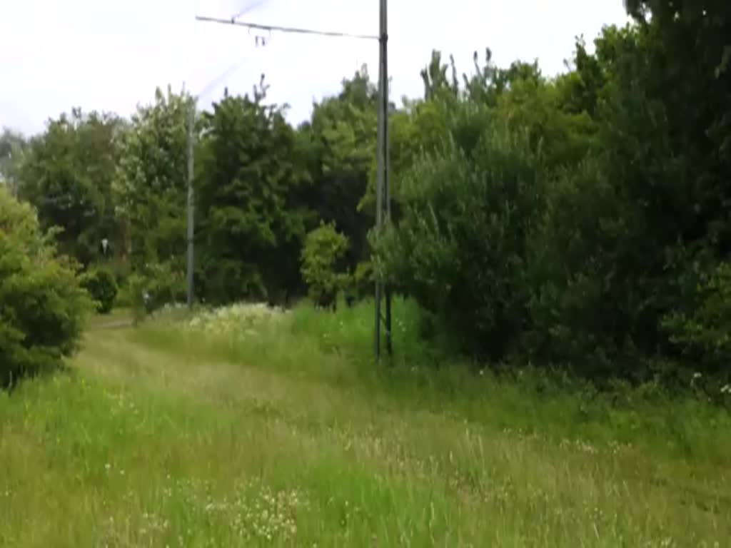 Historische Straßenbahn im Straßenbahnmuseum Schönberger Strand am 27.06.2013 