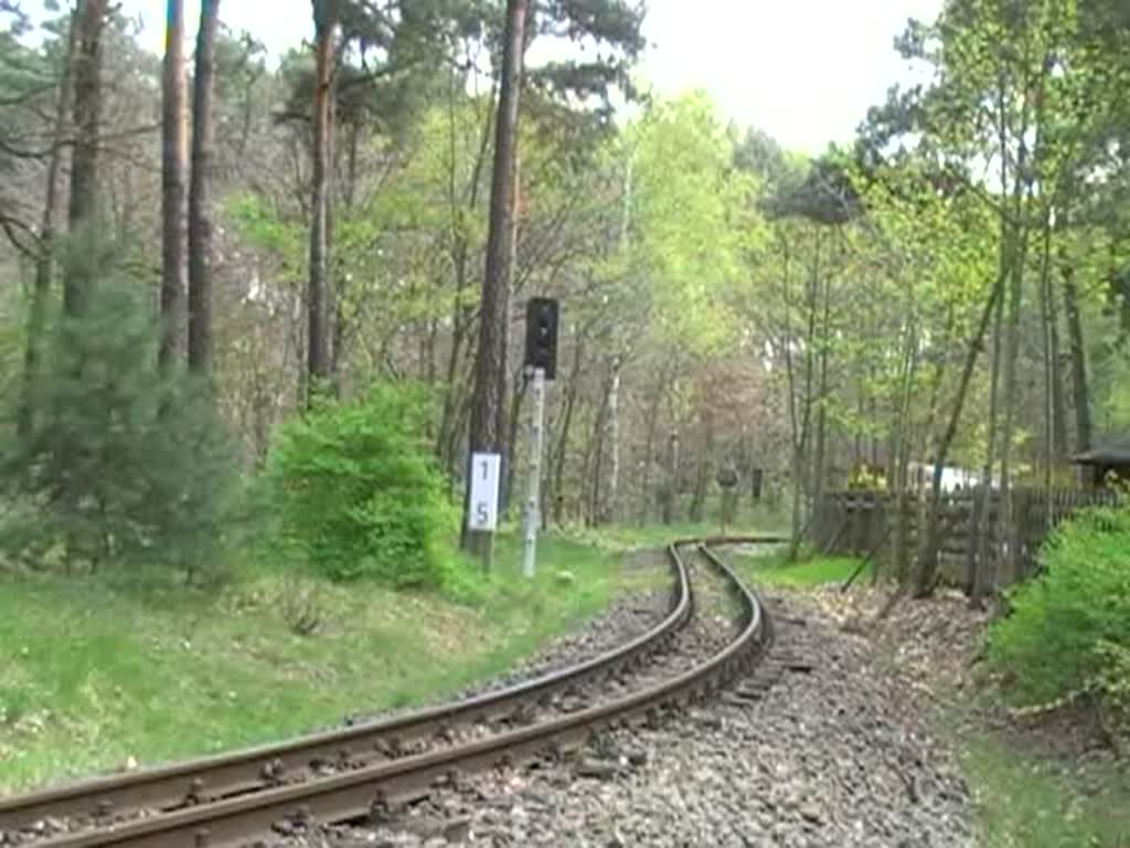 Langsam wird es auch wieder etwas grn. Das schne Wetter zog heute viele Familien in die Wuhlheide, in der es insbesondere fr Kinder immer ein groes Freizeitangebot gibt. Die Fahrt mit der Parkeisenbahn, wie hier zu sehen, gehrt dazu. 27.4.2008