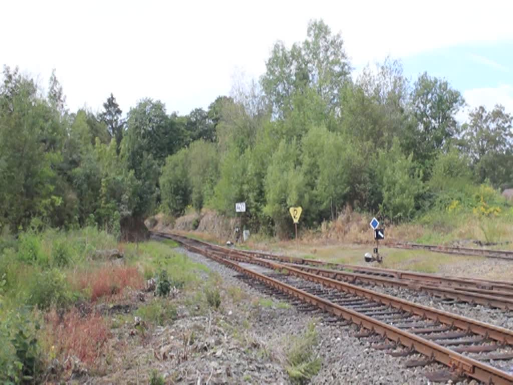 M 131.1515 fuhr am 29.08.20 eine Sonderfahrt von Cheb über Tršnice und Aš nach Hranice v Čechách. Hier ist der Zug in der Einfahrt Hranice v Čechách zusehen.