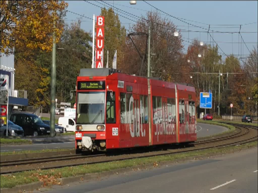 Mit den Triebwagen des Typs NF6D ist die BOGESTRA am 1. November 2011 auf dem Castroper Hellweg zwischen den Haltestellen Weserstrae und Nordbad (Linie 308 bzw. 318 des VRR) unterwegs.