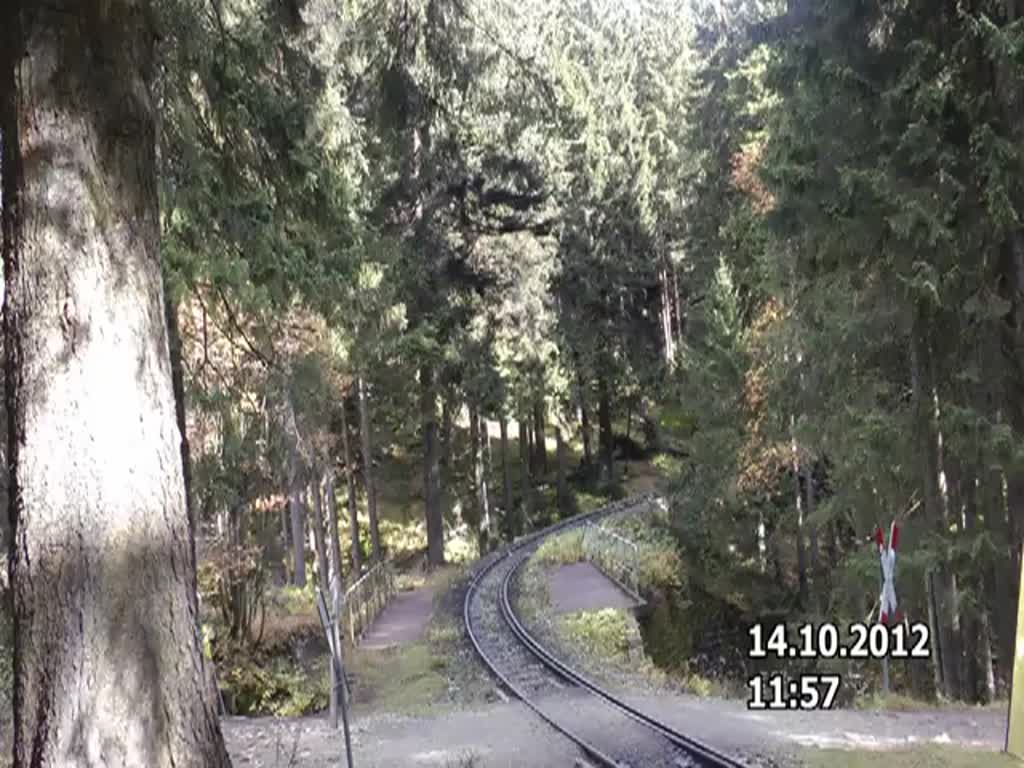 Nachdem einigen Minuten zuvor ein Plandampfzug die steile Kurve am Eckerloch Richtung Broken mit wummernden Auspuffschlgen durchfahren hatte, folgte  am 14.10.2012 gegen 11:57 Uhr  ein Sonderzug  , gefhrt von 99 5901.