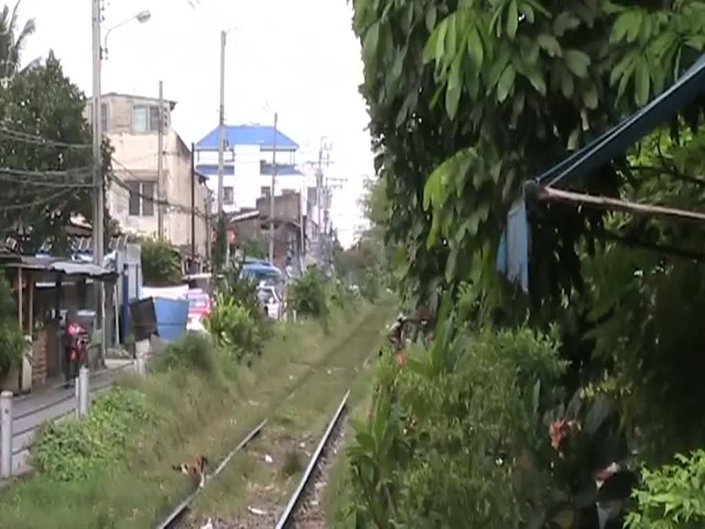 NKF 1208, 1204 und 1211 fahren am 17.Nov. 2012 als ORD 4312 in den Bf. Wongwian Yai ein. Dies berhrt die Katze im Vordergrund nicht im Geringsten, sie geht mit thailndischer Gelassenheit ihres Weges.