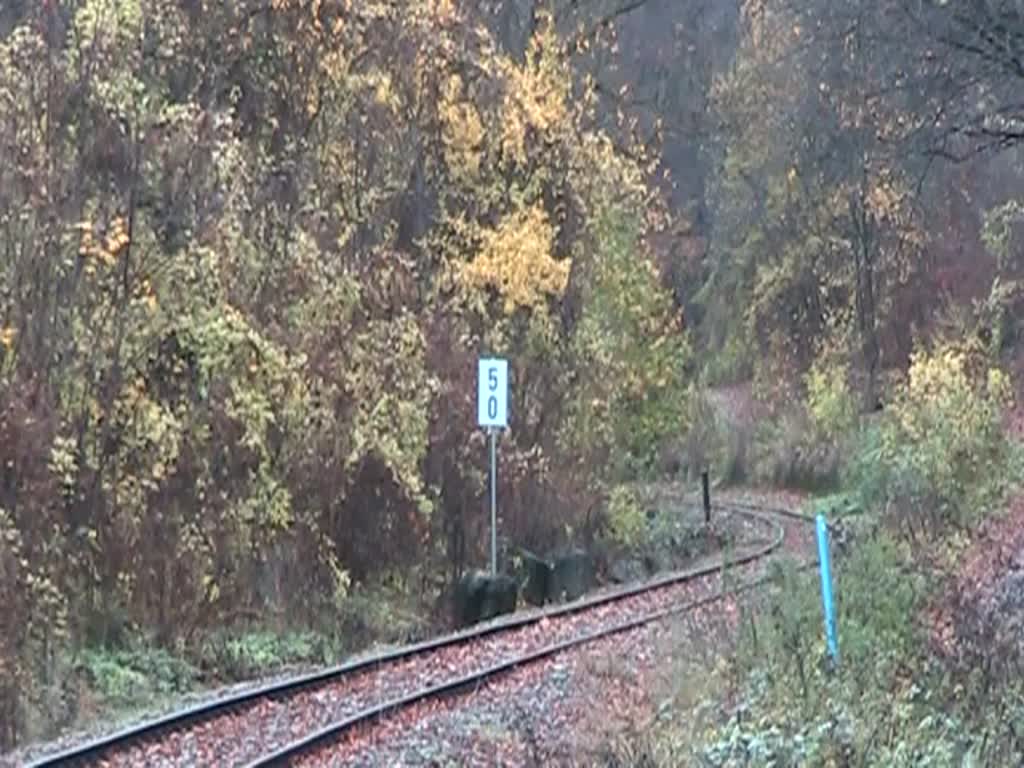 ÖSEK 30.33 am 10.November 2013 als Nebenfahrt Liesing-Waldmühle mit dem SR 17993 beim Km 5.0 kurz vor der Lst. Waldmühle.