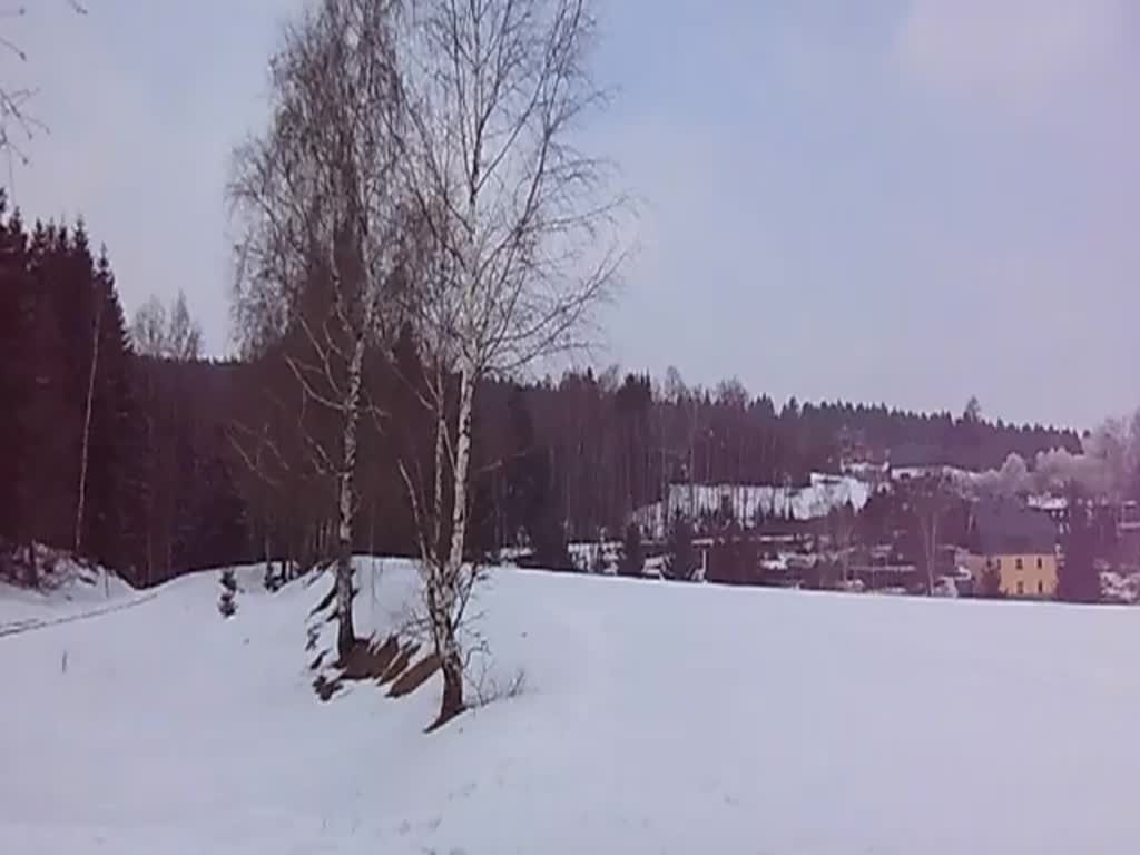 Osterfahrten auf der Museumsbahn Schnheide am 30.03.13, hier zwischen Neuheide und Schnheide.