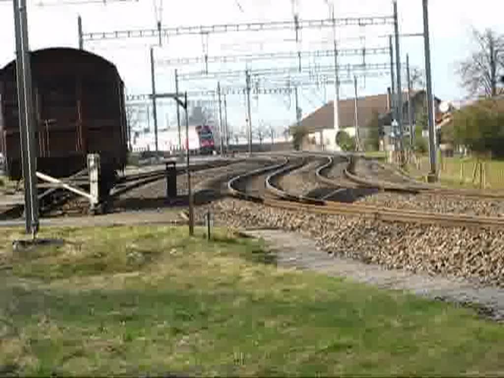 RABe 514 als S 8 nach Pfffikon SZ bei Richterswil am 17.03.2009