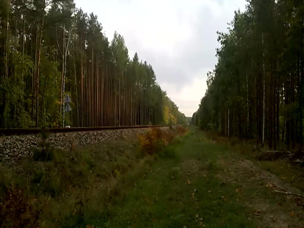 SA139-006 mit R von Zielona Gora Glowna nach Gorzow Wielkopolski in der Nähe von Miedzyrzecz,10.10.2022