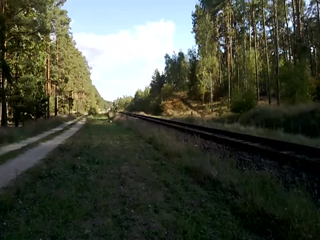 SA139-031 mit R von Zielona Gora nach Gorzow Wielkopolski in der Nähe von Miedzyrzecz, 4.10.2022