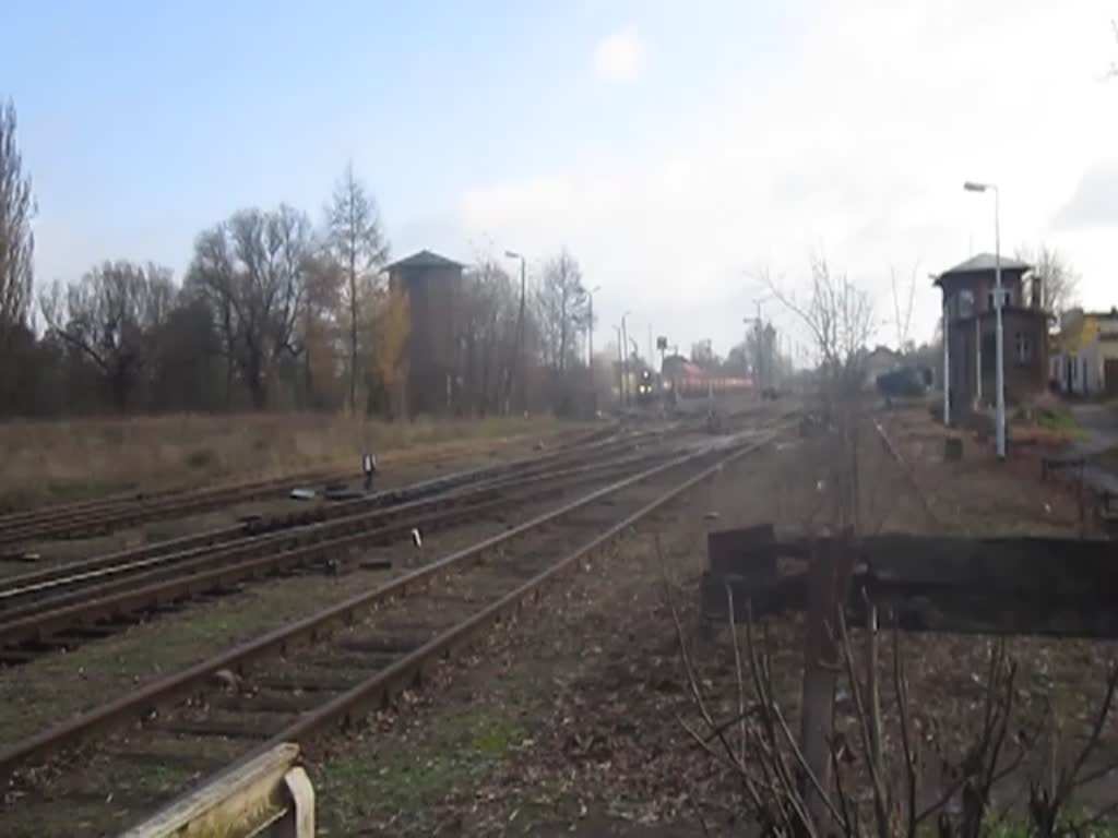 SM31 der PKP Cargo beim Ausfahrt von Bahnhof Miedzyrzecz in Richtung Gorzow Wielkopolski