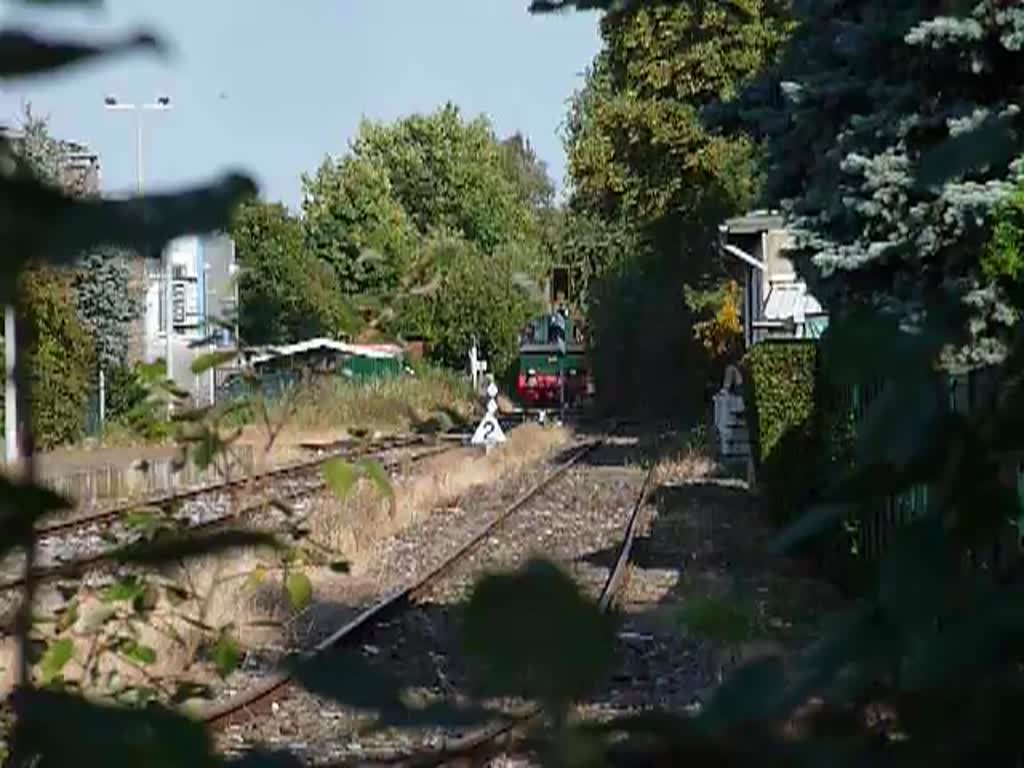 Still und leise schleicht sich der Schluff in seinen Endbahnhof. St. Tnis, 16.9.12