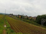 Strecke Luxemburg-Kleinbettingen-Arlon-Brüssel.