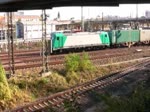 24.10.2013, Dresden,  Stau im Gleisvorfeld vom Hbf. Die Zugdichte ist enorm. Wegen Bauarbeiten im Bf Dresden - Neustadt kam es zu Strungen im Betriebsablauf. Die 186er, hat trotz 5 600 kw, schwer zu kmpfen ihren Zug in der Senke wieder in Fahrt zu bringen. 
