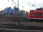 Eine S-Bahn fährt hier gerade in Köln in Richtung Hauptbahnhof.