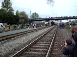 Die 01 1066 verlsst mit ihrem Sonderzug den Bahnhof Neunmarkt-Wirsberg.