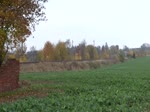 03 2155-4 fuhr am 05.11.16 mit einem Sonderzug von Leipzig nach Neuenmarkt-Wirsberg.